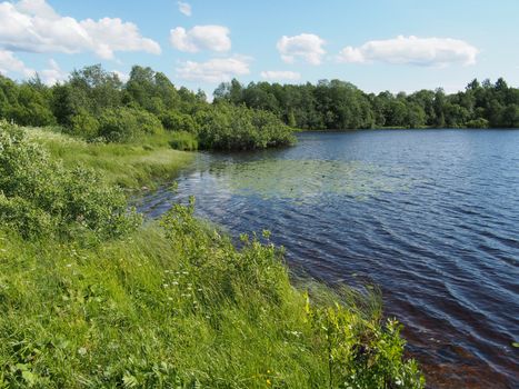 Lake in the summer