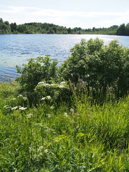 Lake in the summer