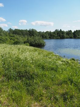 Lake in the summer