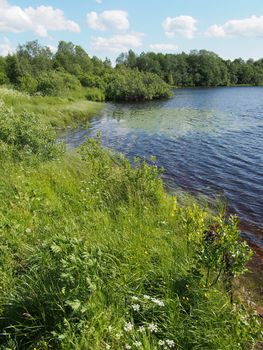 Lake in the summer