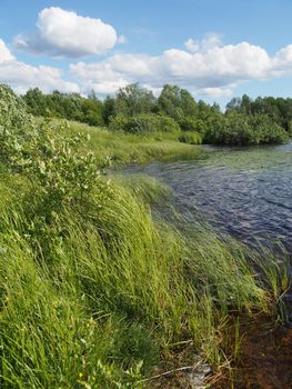 Lake in the summer