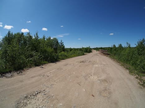 forest road