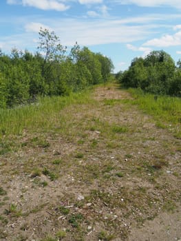 forest road