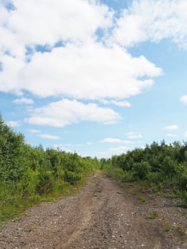 forest road