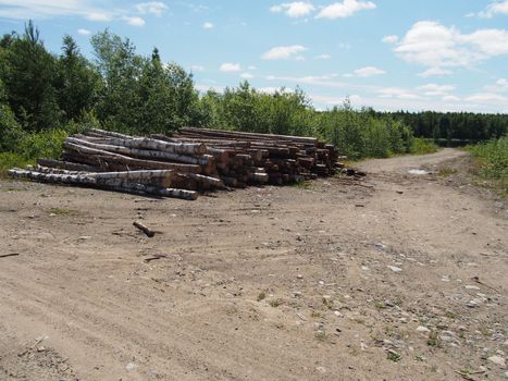 The logs on the road