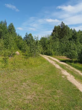 forest road