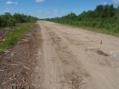 forest road
