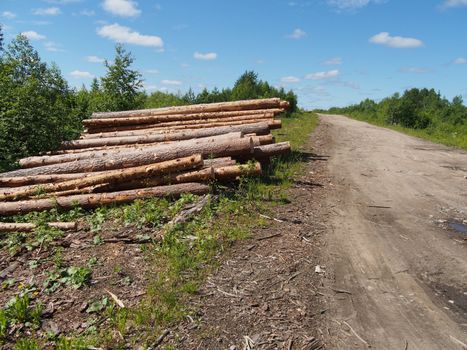 The logs on the road
