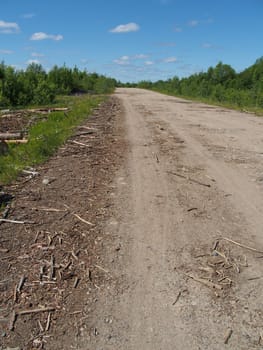 forest road