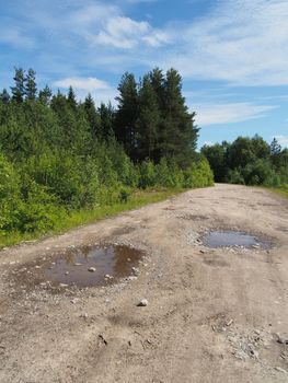 forest road