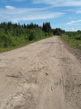 forest road
