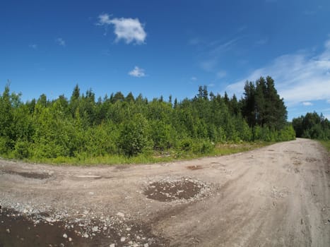 forest road