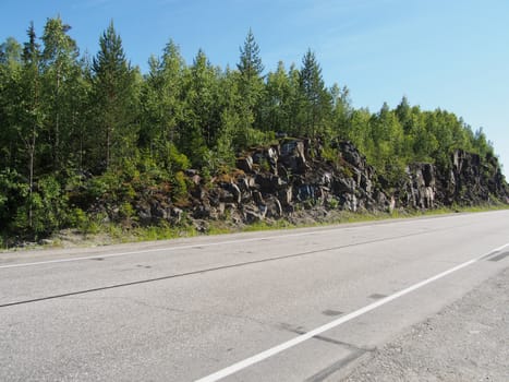 asphalt road in forest