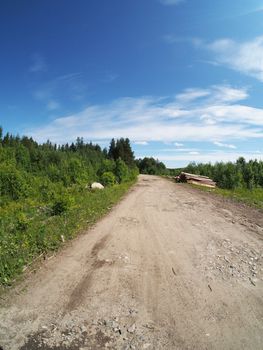 forest road