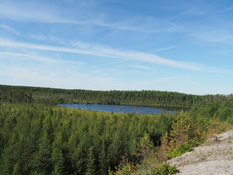 Lake in the summer