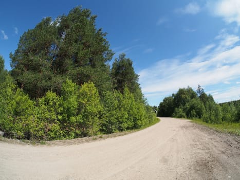 forest road