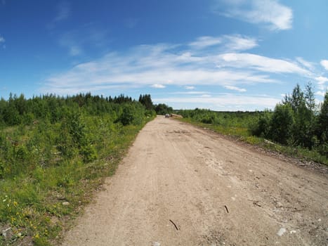 forest road
