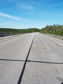 asphalt road in the woods