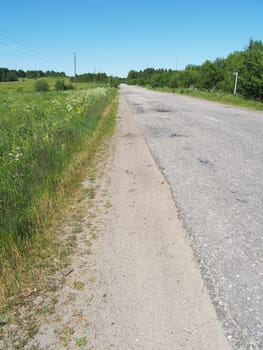 asphalt road in forest