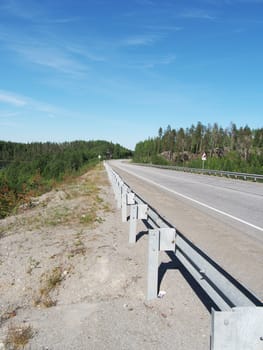 asphalt road in forest
