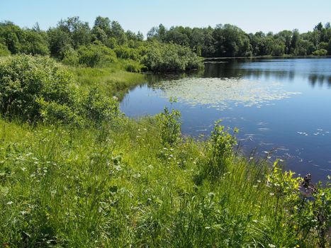 Lake in the summer