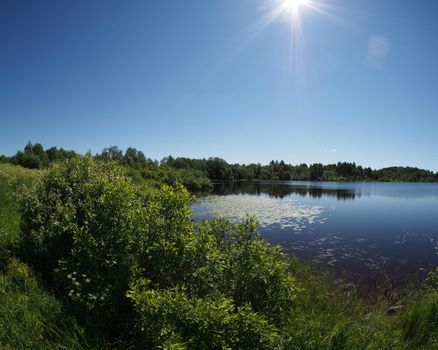 Lake in the summer