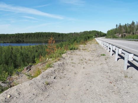 asphalt road in forest