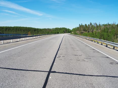 asphalt road in the woods