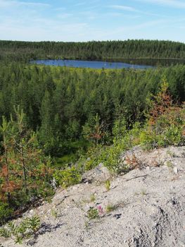 Lake in the summer