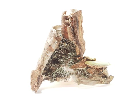 A piece of birch bark on a white background