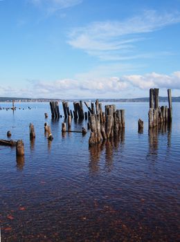 old piles in the lake