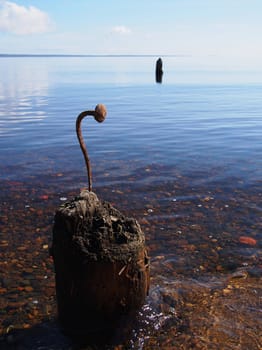 Curved nail in the old pile on the lake