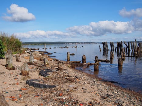 old piles in the lake