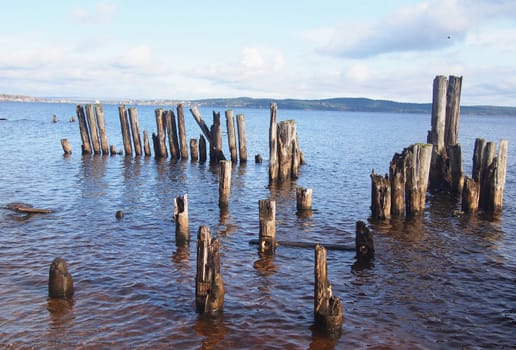 old piles in the lake