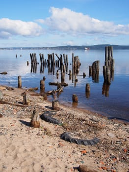 old piles in the lake