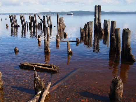 old piles in the lake