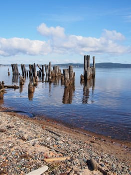 old piles in the lake