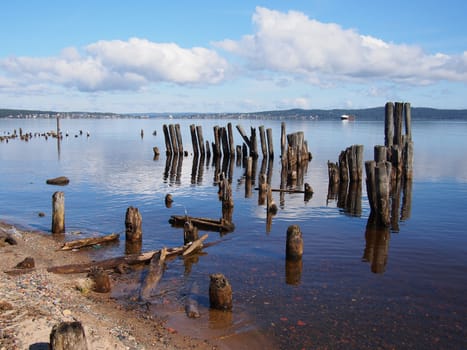 old piles in the lake
