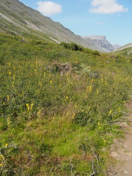 Khibiny mountains