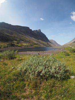 Lake in the mountains
