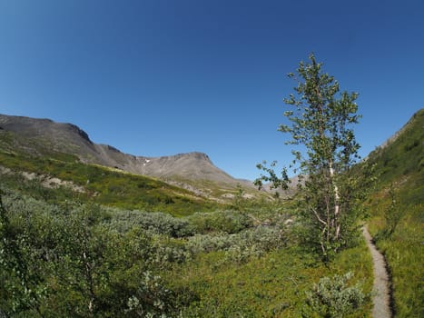 path in the mountains