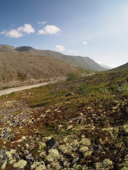 road in the mountains