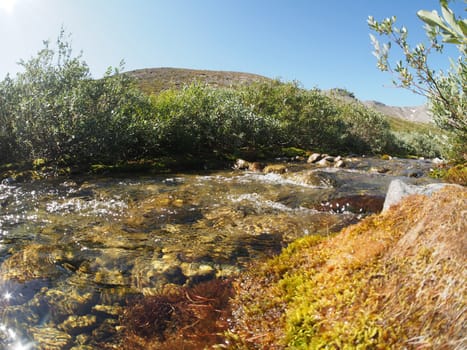 mountain river