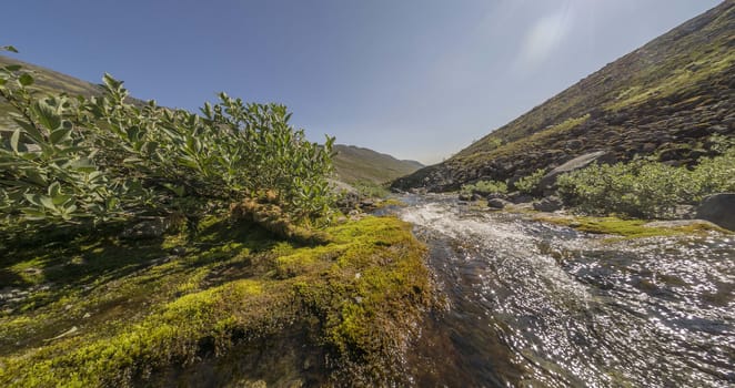 mountain river