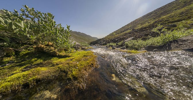 mountain river