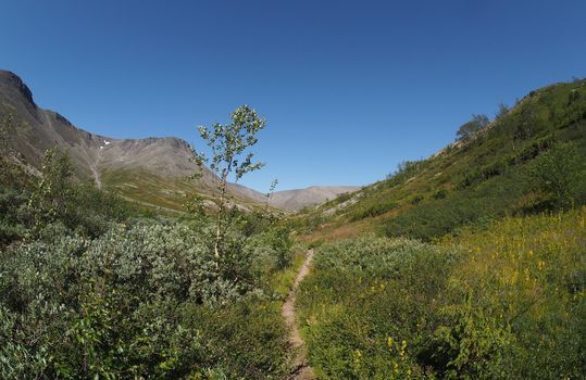 path in the mountains
