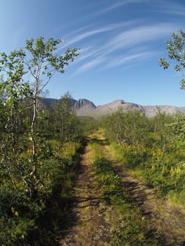 road in the mountains