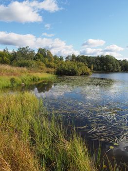 Lake in the summer