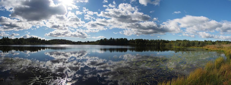 Lake in the summer