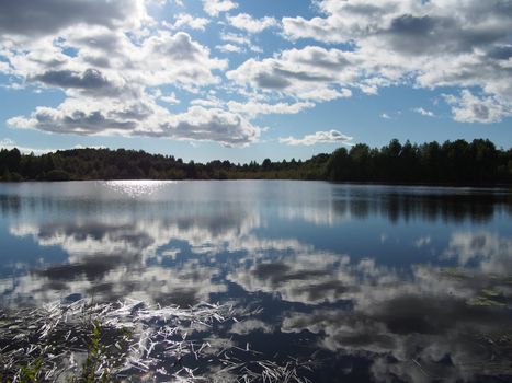 Lake in the summer